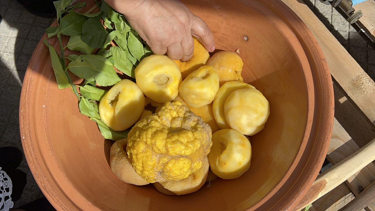 Conosciamo la Pompìa, frutto endemico di Siniscola presente alle giornate sarde di Ostia